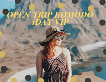 Open Trip Komodo 1Day VIP (Speedboat)